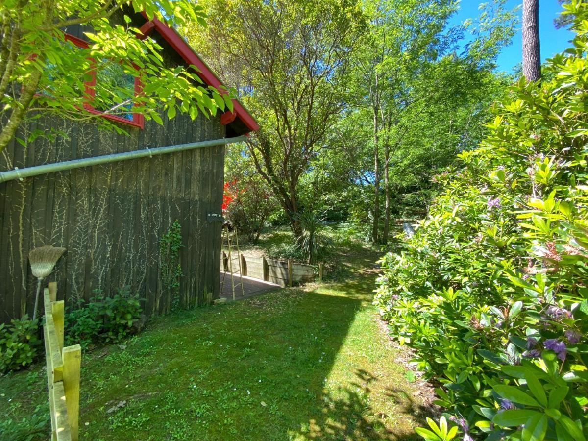 Le Loft Au-Dessus Des Pins Apartment Lacanau Exterior photo
